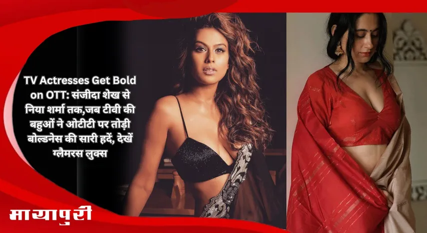 TV Actresses Get Bold on OTT: From Sanjeeda Sheikh to Nia Sharma when TV bahus crossed all limits of boldness on OTT see their glamorous looks